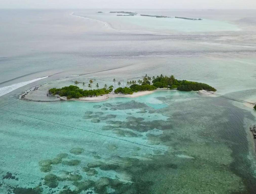Ocean Retreat And Spa Guraidhoo  Esterno foto